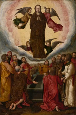Assumption of the Virgin — Marcellus Coffermans