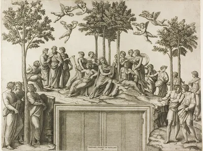 Apollo on Parnassus — Marcantonio Raimondi