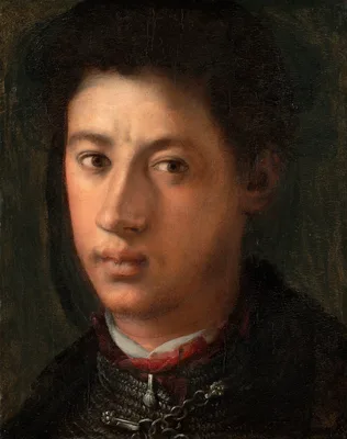 Alessandro de' Medici — Pontormo
