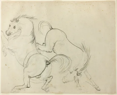 Two Horses Cavorting (recto); Man on a Kicking Horse (verso) — Carle Vernet