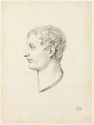 Profile of Napoleon — Jacques-Louis David