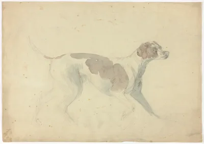Fox Hound (recto); Sketches of Horse and Rider (verso) — Sawrey Gilpin