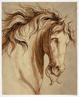Study for Sculpture of William III — John Michael Rysbrack