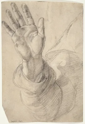 Upraised Right Hand, with Palm Facing Outward: Study for Saint Peter — Raphael