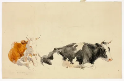 Two Recumbent Cows (recto); Sketch of Standing Cow (verso) — Thomas Sidney Cooper