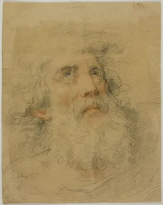 Head of King Lear — Giovanni Battista Cipriani