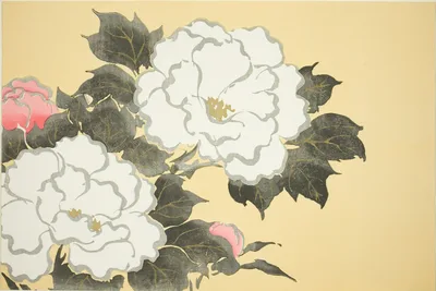 Peonies, from the series "Worlds of Things (Momoyogusa)" — Kamisaka Sekka