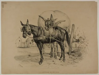 Mules Harnessed — Victor Adam