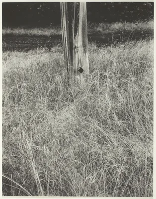 Grass and Flagpole — Alfred Stieglitz