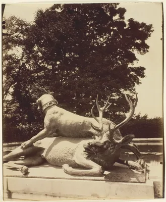 Versailles, Fountaine du Point du Jour — Eugène Atget