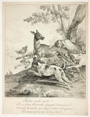 Le Chevreuil force (The Pursued Deer, a series from Four Hunting Subjects) — Jean-Baptiste Oudry