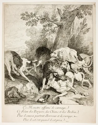 Le Loup aux abois (The Wolf at Bay, a Series from Four Hunting Subjects) — Jean-Baptiste Oudry
