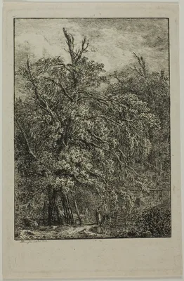 Great Tree — Domenico Quaglio the Younger