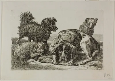 Four Dogs, from Die Zweite Thierfolge — Johann Christian Reinhart