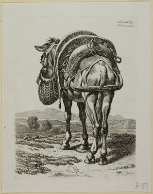 Feeding Mule - Rear, from Die Zweite Thierfolge — Johann Christian Reinhart
