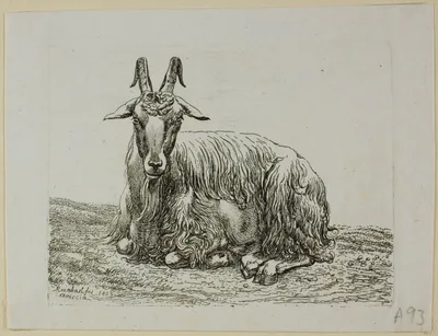 Lying Goat, from Die Zweite Thierfolge — Johann Christian Reinhart