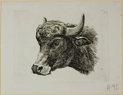 Buffalo Head Facing Left, from Die Zweite Thierfolge — Johann Christian Reinhart