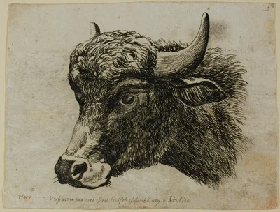 Buffalo Head Facing Left, from Die Zweite Thierfolge — Johann Christian Reinhart
