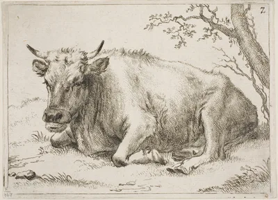 Cow Lying Beside a Tree, plate 7 from Eight Bulls and Cows — Paulus Potter
