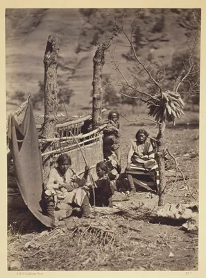 Aboriginal Life Among the Navajoe Indians, Near Old Fort Defiance, N.M. — Timothy H. O'Sullivan