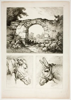 Plate Fourteen of 38 from Oeuvres de J. B. Huet — Jean-Baptiste Huet