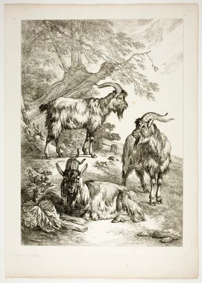 Plate Seventeen of 38 from Oeuvres de J. B. Huet — Jean-Baptiste Huet