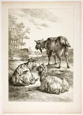 Plate Eighteen of 38 from Oeuvres de J. B. Huet — Jean-Baptiste Huet