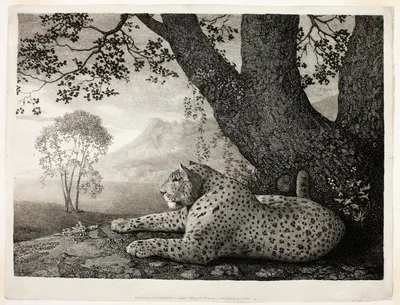 A Tyger (A Recumbent Leopard by a Tree) — George Stubbs