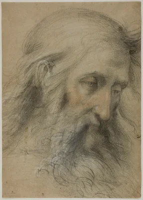 Head of Saint John the Evangelist: Study for the Disputation on the Immaculate Conception — Giovanni Antonio Sogliani