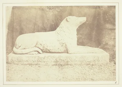 Effigy of Sir W. Scott's favourite dog Maida, by the side of the hall door at Abbotsford — William Henry Fox Talbot