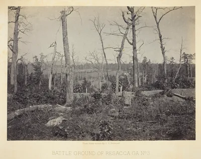 Battle Ground of Resacca, GA, No. 3 — George N. Barnard