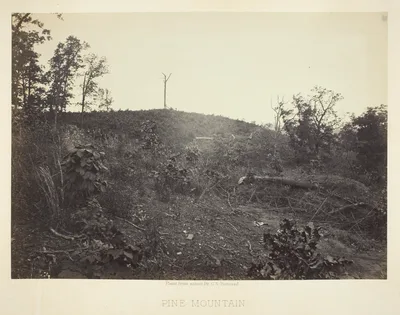 Pine Mountain — George N. Barnard