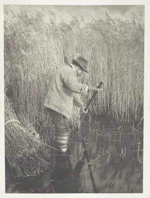 A Reed-Cutter at Work — Peter Henry Emerson