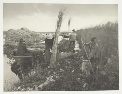 During the Reed Harvest — Peter Henry Emerson