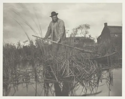 Cutting the Gladdon — Peter Henry Emerson