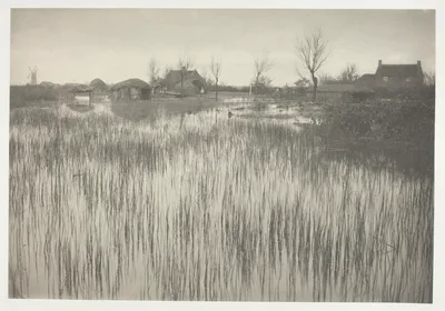 A Rushy Shore — Peter Henry Emerson