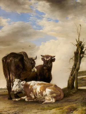Two Cows and a Young Bull beside a Fence in a Meadow — Paulus Potter