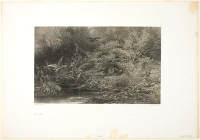 Fox on the Prowl — Karl Bodmer
