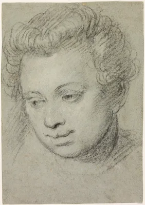 Head of a Woman — Paolo Veronese