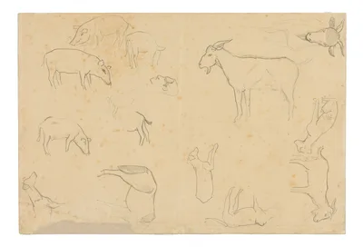 Sketches of Various Animals and Head (recto), Sketches of a Head, Figure in Profile, Anatomical Details, and Animals (verso) — Paul Gauguin