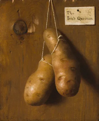 The Irish Question — De Scott Evans