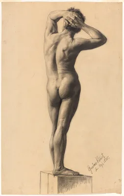 Male Nude — Gustav Klimt
