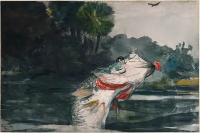 Life-Size Black Bass — Winslow Homer
