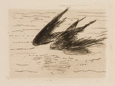 Swallows, plate 8 from Le Fleuve — Édouard Manet