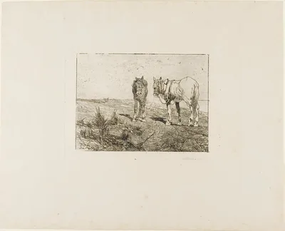 Horses' Rest — Giovanni Fattori