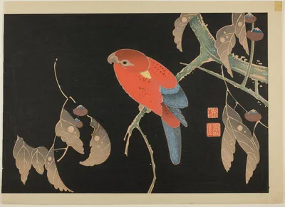 Red Parrot on the Branch of a Tree — Itō Jakuchū