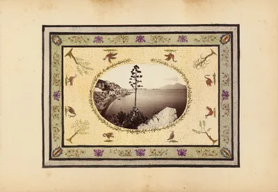 The Madame B Album — Marie-Blanche Hennelle Fournier