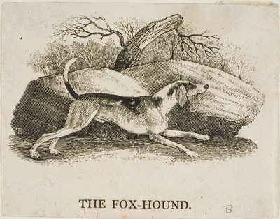 Fox Hound — Thomas Bewick