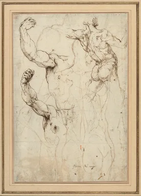 Study of a Nude Seen from the Back, and Two Studies of an Arm (recto); Nude Seen from the Back, with Subsidiary Studies of a Shoulder and Leg (verso) — Perino del Vaga