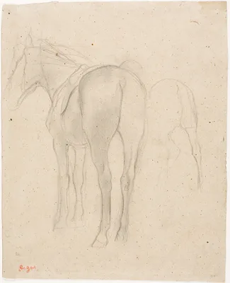 Studies of a Horse — Edgar Degas